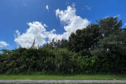 Купить земельный участок в Порт-Шарлотт, Флорида № 220197 - фото 5