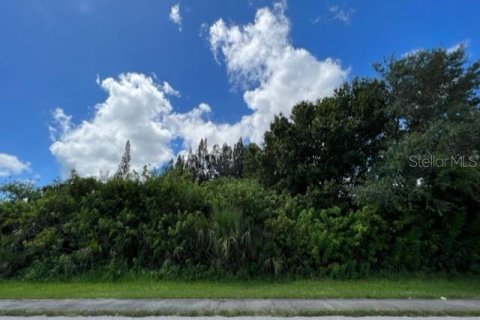 Купить земельный участок в Порт-Шарлотт, Флорида № 220197 - фото 1