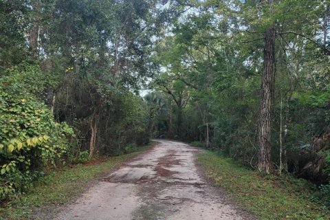 Land in Saint Augustine, Florida № 777746 - photo 2