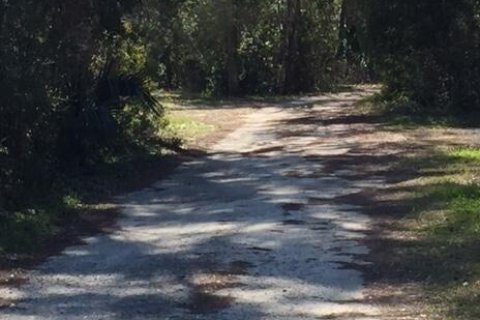 Land in Saint Augustine, Florida № 777746 - photo 1