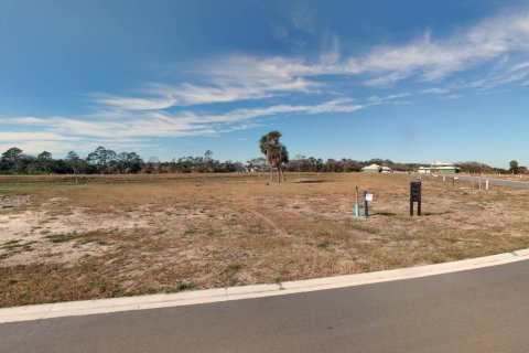 Terreno en venta en Saint Augustine, Florida № 817935 - foto 2