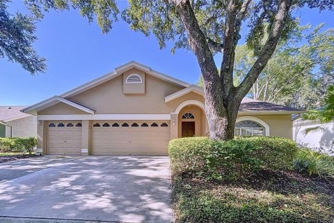 Villa ou maison à vendre à Tampa, Floride: 3 chambres, 192.31 m2 № 1289409 - photo 3