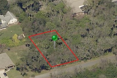 Land in Edgewater, Florida № 828296 - photo 1