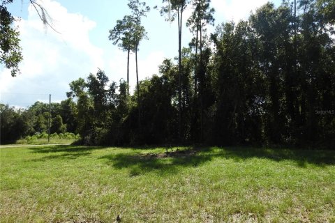 Terrain à vendre à Haines City, Floride № 1372197 - photo 6