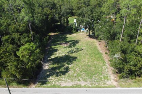 Terreno en venta en Haines City, Florida № 1372197 - foto 1