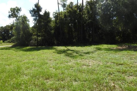 Land in Haines City, Florida № 1372197 - photo 8