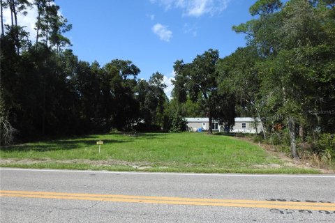 Land in Haines City, Florida № 1372197 - photo 7