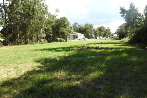 Terrain à vendre à Haines City, Floride № 1372197 - photo 4