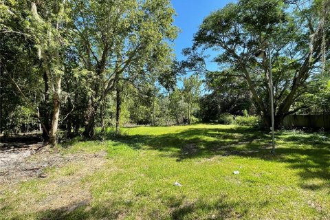 Купить земельный участок в Орландо, Флорида № 218891 - фото 5