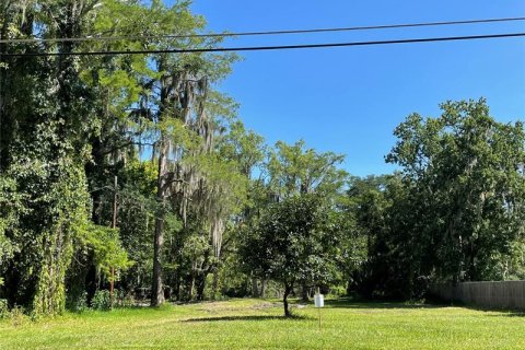 Terrain à vendre à Orlando, Floride № 218891 - photo 2