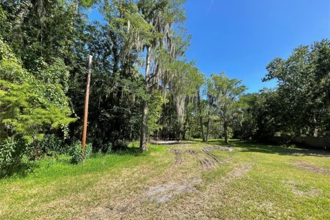 Купить земельный участок в Орландо, Флорида № 218891 - фото 3