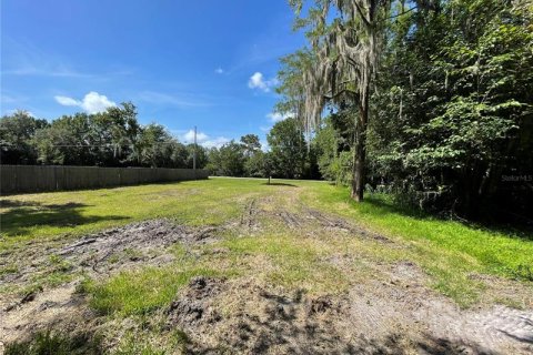 Купить земельный участок в Орландо, Флорида № 218891 - фото 19