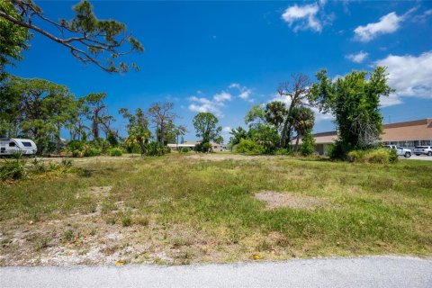 Terreno en venta en Englewood, Florida № 1190391 - foto 4