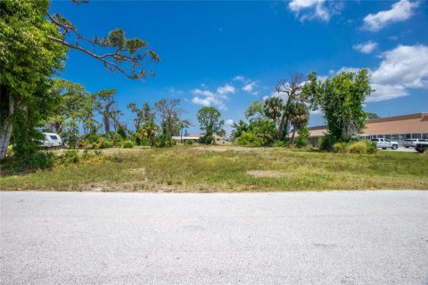 Land in Englewood, Florida № 1190391 - photo 2