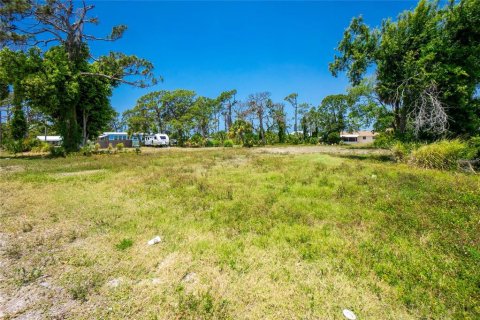 Terreno en venta en Englewood, Florida № 1190391 - foto 6