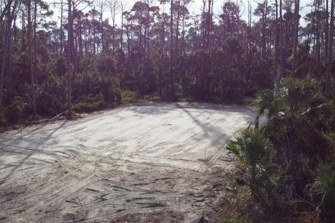 Terrain à vendre à Port Charlotte, Floride № 888654 - photo 4