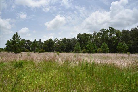 Terreno en venta en Old Town, Florida № 1354217 - foto 17