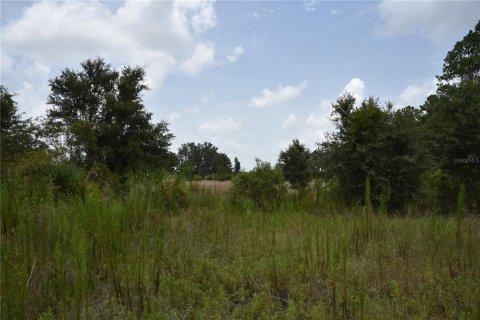 Terreno en venta en Old Town, Florida № 1354217 - foto 21