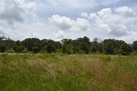 Terreno en venta en Old Town, Florida № 1354217 - foto 18