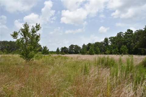 Terreno en venta en Old Town, Florida № 1354217 - foto 7