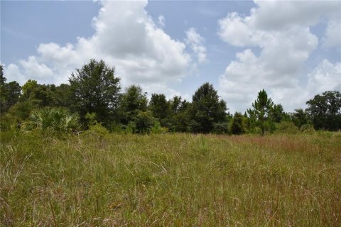 Terreno en venta en Old Town, Florida № 1354217 - foto 6