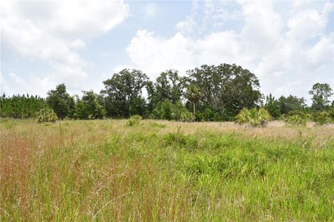 Terreno en venta en Old Town, Florida № 1354217 - foto 8