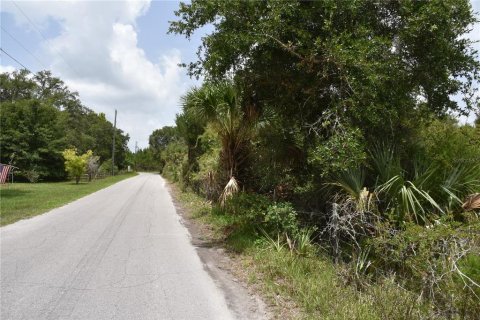 Terreno en venta en Old Town, Florida № 1354217 - foto 3