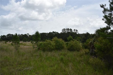 Terreno en venta en Old Town, Florida № 1354217 - foto 11