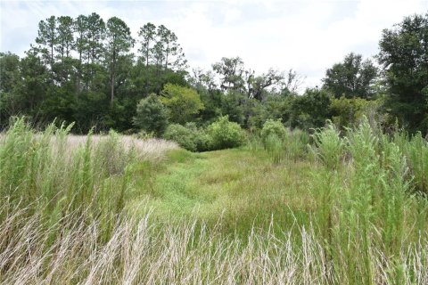 Land in Old Town, Florida № 1354217 - photo 19