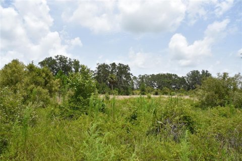 Land in Old Town, Florida № 1354217 - photo 15