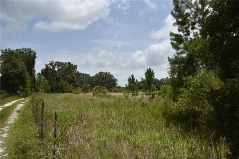 Terreno en venta en Old Town, Florida № 1354217 - foto 22