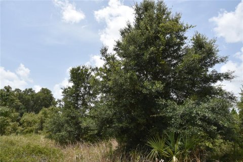 Terreno en venta en Old Town, Florida № 1354217 - foto 9