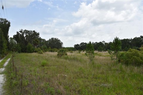 Land in Old Town, Florida № 1354217 - photo 1