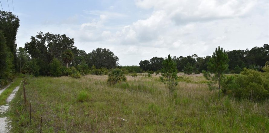 Terreno en Old Town, Florida № 1354217