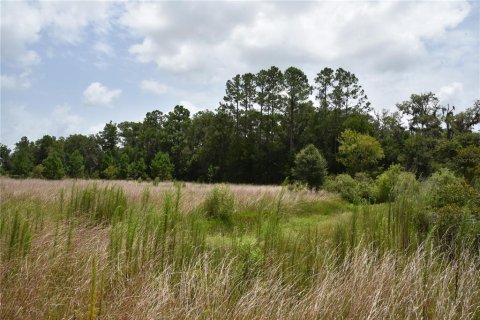 Terreno en venta en Old Town, Florida № 1354217 - foto 13