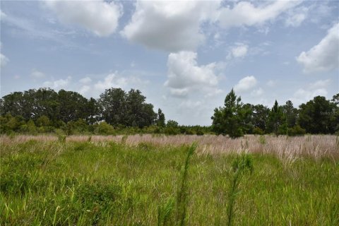 Terreno en venta en Old Town, Florida № 1354217 - foto 16