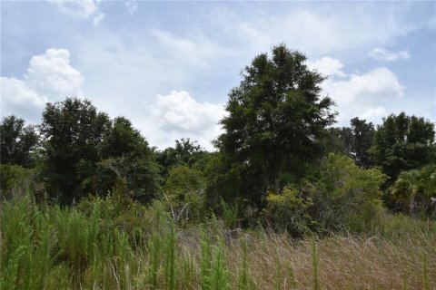 Terreno en venta en Old Town, Florida № 1354217 - foto 20