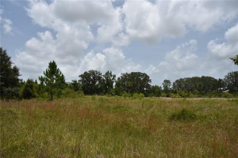 Land in Old Town, Florida № 1354217 - photo 2