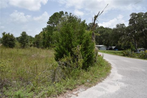 Terreno en venta en Old Town, Florida № 1354217 - foto 4