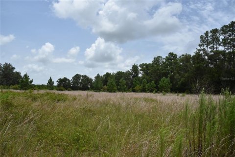 Terreno en venta en Old Town, Florida № 1354217 - foto 12