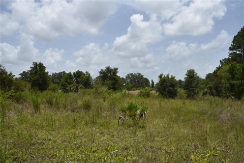 Land in Old Town, Florida № 1354217 - photo 5