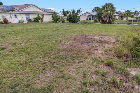 Terrain à vendre à Punta Gorda, Floride № 1191918 - photo 5