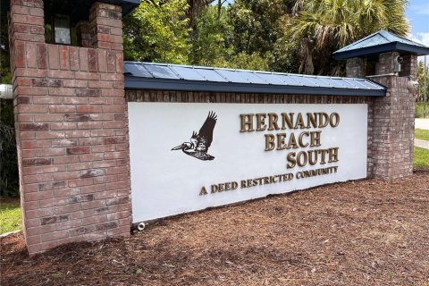 Land in Hernando Beach, Florida № 1306515 - photo 21