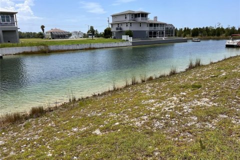 Land in Hernando Beach, Florida № 1306515 - photo 8