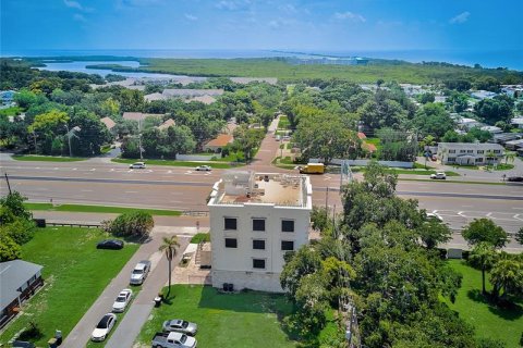 Villa ou maison à louer à Clearwater, Floride: 4 chambres, 656.45 m2 № 237968 - photo 7