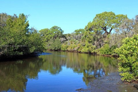 Terreno en venta en Port Charlotte, Florida № 666645 - foto 4