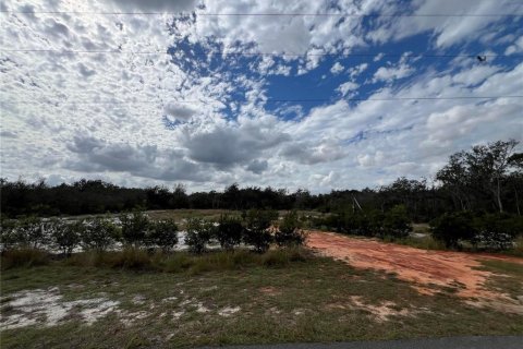 Terrain à vendre à Frostproof, Floride № 974397 - photo 3