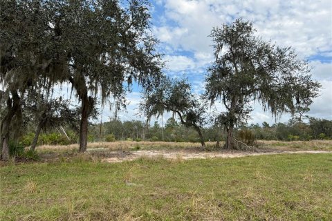 Terrain à vendre à Frostproof, Floride № 974397 - photo 1