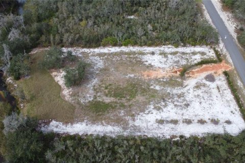 Terrain à vendre à Frostproof, Floride № 974397 - photo 23