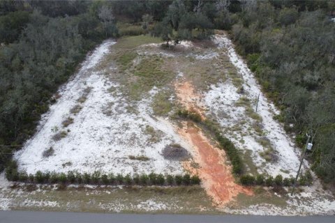 Terrain à vendre à Frostproof, Floride № 974397 - photo 20